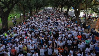 ASICS GOLDEN RUN